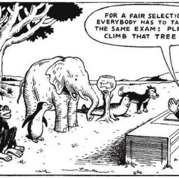 Celebrating Differences…