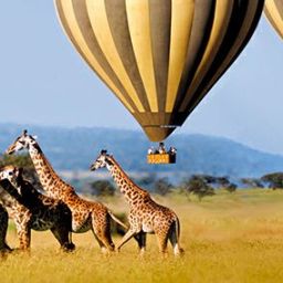 Measure of human progress…