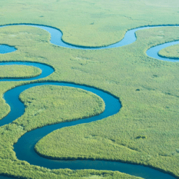 Meandering thought’s…